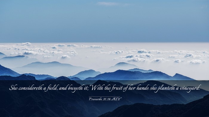 Picture 03 - Proverbs 31:16 ASV Desktop Wallpaper - She considereth a field, and buyeth it; With the - Desktop Bible Verse Wallpaper