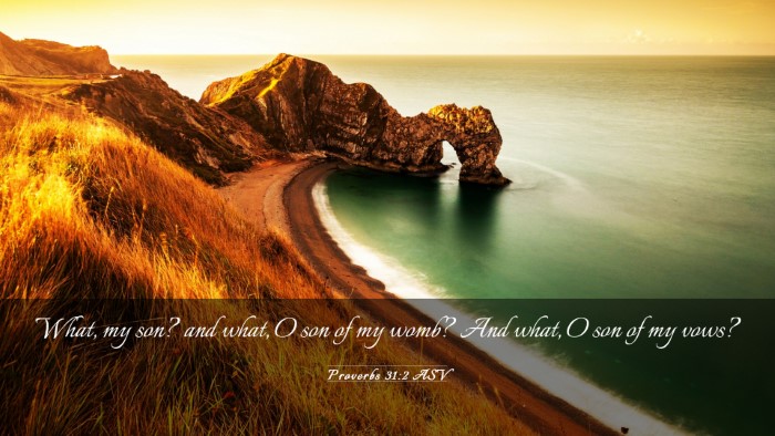 Picture 03 - Proverbs 31:2 ASV Desktop Wallpaper - What, my son? and what, O son of my womb? And - Desktop Bible Verse Wallpaper