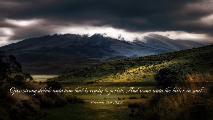 Picture 03 - Proverbs 31:6 ASV Desktop Wallpaper - Give strong drink unto him that is ready to - Desktop Bible Verse Wallpaper