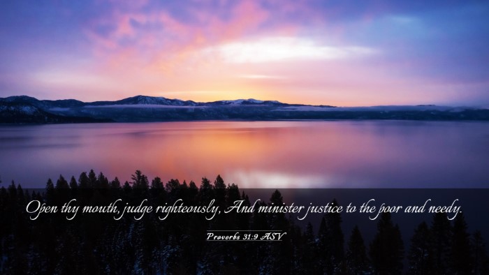 Picture 03 - Proverbs 31:9 ASV Desktop Wallpaper - Open thy mouth, judge righteously, And minister - Desktop Bible Verse Wallpaper