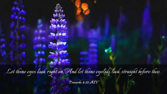 Picture 03 - Proverbs 4:25 ASV Desktop Wallpaper - Let thine eyes look right on, And let thine - Desktop Bible Verse Wallpaper