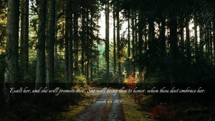 Picture 03 - Proverbs 4:8 ASV Desktop Wallpaper - Exalt her, and she will promote thee; She will - Desktop Bible Verse Wallpaper