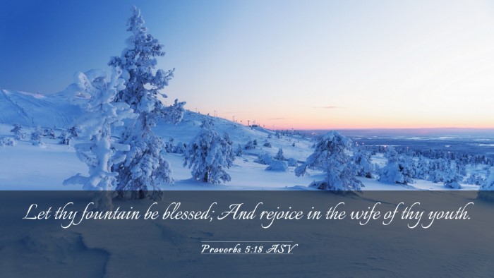 Picture 03 - Proverbs 5:18 ASV Desktop Wallpaper - Let thy fountain be blessed; And rejoice in the - Desktop Bible Verse Wallpaper