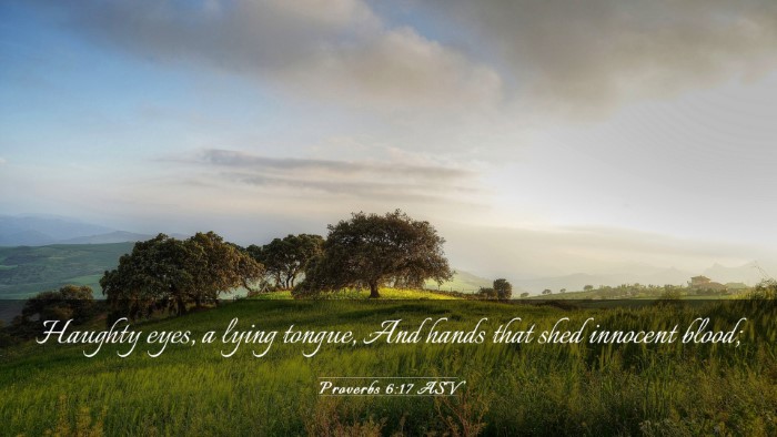 Picture 03 - Proverbs 6:17 ASV Desktop Wallpaper - Haughty eyes, a lying tongue, And hands that shed - Desktop Bible Verse Wallpaper