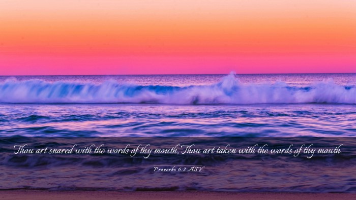 Picture 03 - Proverbs 6:2 ASV Desktop Wallpaper - Thou art snared with the words of thy mouth, Thou - Desktop Bible Verse Wallpaper