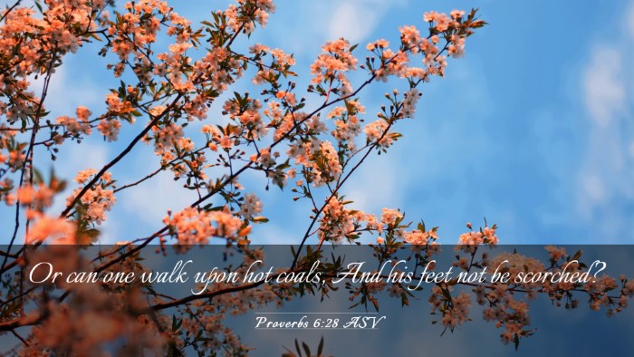 Picture 03 - Proverbs 6:28 ASV Desktop Wallpaper - Or can one walk upon hot coals, And his feet not - Desktop Bible Verse Wallpaper
