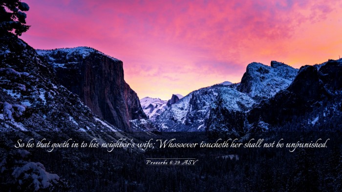 Picture 03 - Proverbs 6:29 ASV Desktop Wallpaper - So he that goeth in to his neighbor's wife; - Desktop Bible Verse Wallpaper
