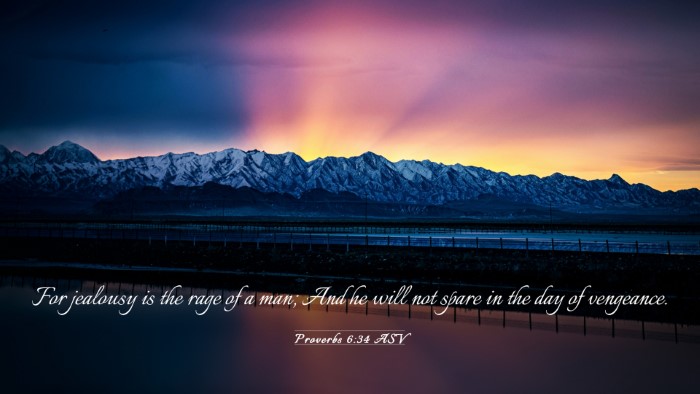 Picture 03 - Proverbs 6:34 ASV Desktop Wallpaper - For jealousy is the rage of a man; And he will - Desktop Bible Verse Wallpaper