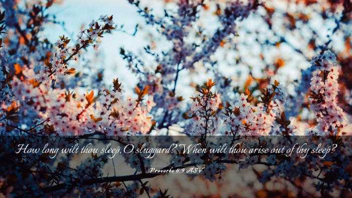 Picture 03 - Proverbs 6:9 ASV Desktop Wallpaper - How long wilt thou sleep, O sluggard? When wilt - Desktop Bible Verse Wallpaper