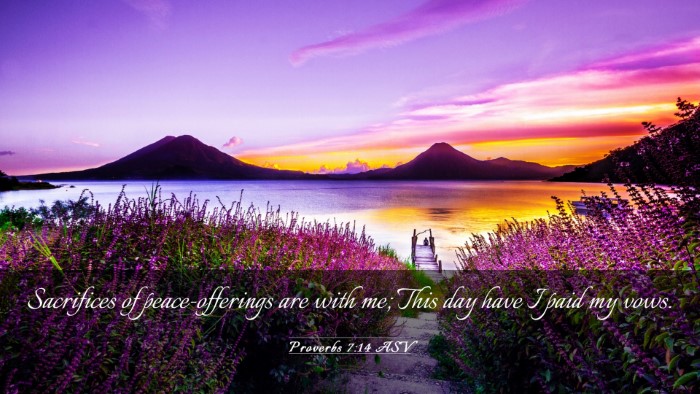 Picture 03 - Proverbs 7:14 ASV Desktop Wallpaper - Sacrifices of peace-offerings are with me; This - Desktop Bible Verse Wallpaper