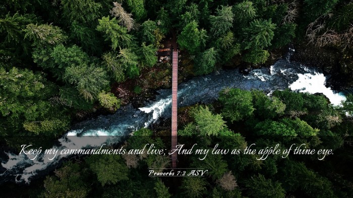 Picture 03 - Proverbs 7:2 ASV Desktop Wallpaper - Keep my commandments and live; And my law as the - Desktop Bible Verse Wallpaper