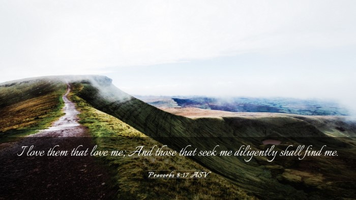 Picture 03 - Proverbs 8:17 ASV Desktop Wallpaper - I love them that love me; And those that seek me - Desktop Bible Verse Wallpaper