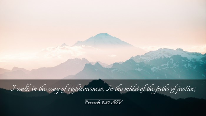 Picture 03 - Proverbs 8:20 ASV Desktop Wallpaper - I walk in the way of righteousness, In the midst - Desktop Bible Verse Wallpaper
