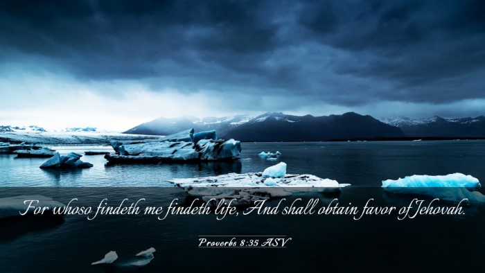 Picture 03 - Proverbs 8:35 ASV Desktop Wallpaper - For whoso findeth me findeth life, And shall - Desktop Bible Verse Wallpaper