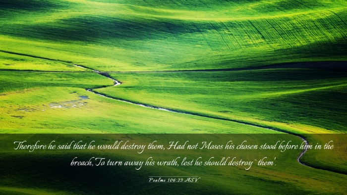 Picture 03 - Psalms 106:23 ASV Desktop Wallpaper - Therefore he said that he would destroy them, Had - Desktop Bible Verse Wallpaper