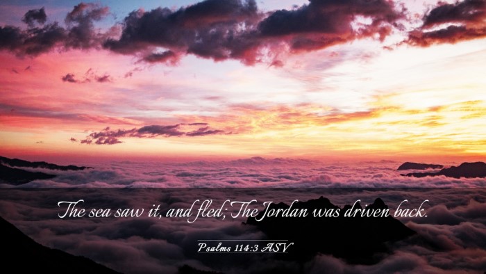 Picture 03 - Psalms 114:3 ASV Desktop Wallpaper - The sea saw it, and fled; The Jordan was driven - Desktop Bible Verse Wallpaper