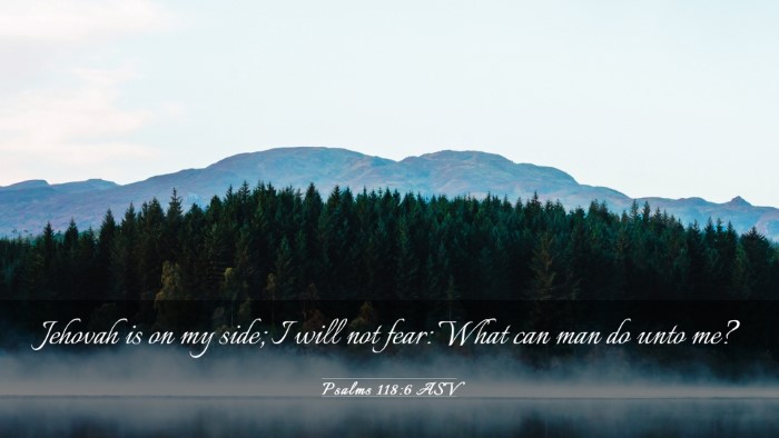 Picture 03 - Psalms 118:6 ASV Desktop Wallpaper - Jehovah is on my side; I will not fear: What can - Desktop Bible Verse Wallpaper
