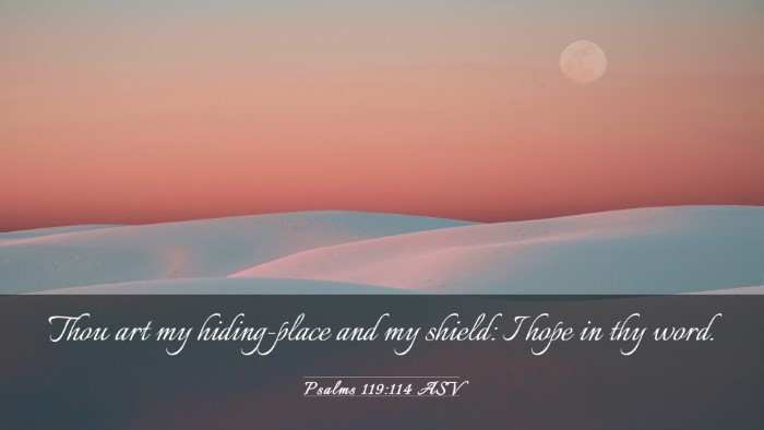 Picture 03 - Psalms 119:114 ASV Desktop Wallpaper - Thou art my hiding-place and my shield: I hope in - Desktop Bible Verse Wallpaper