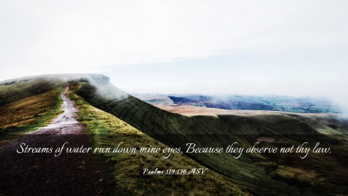Picture 03 - Psalms 119:136 ASV Desktop Wallpaper - Streams of water run down mine eyes, Because they - Desktop Bible Verse Wallpaper