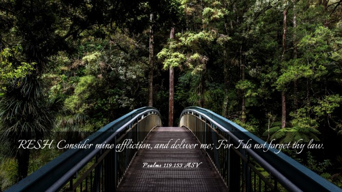 Picture 03 - Psalms 119:153 ASV Desktop Wallpaper - RESH. Consider mine affliction, and deliver me; - Desktop Bible Verse Wallpaper