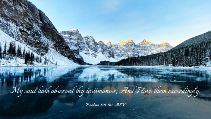 Picture 03 - Psalms 119:167 ASV Desktop Wallpaper - My soul hath observed thy testimonies; And I love - Desktop Bible Verse Wallpaper