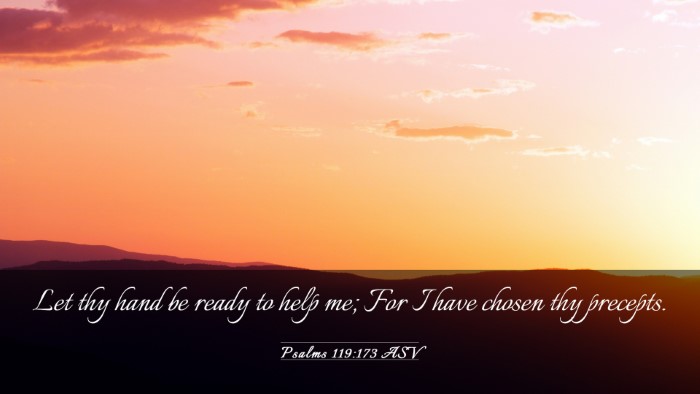 Picture 03 - Psalms 119:173 ASV Desktop Wallpaper - Let thy hand be ready to help me; For I have - Desktop Bible Verse Wallpaper