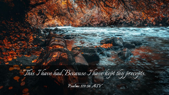 Picture 03 - Psalms 119:56 ASV Desktop Wallpaper - This I have had, Because I have kept thy - Desktop Bible Verse Wallpaper