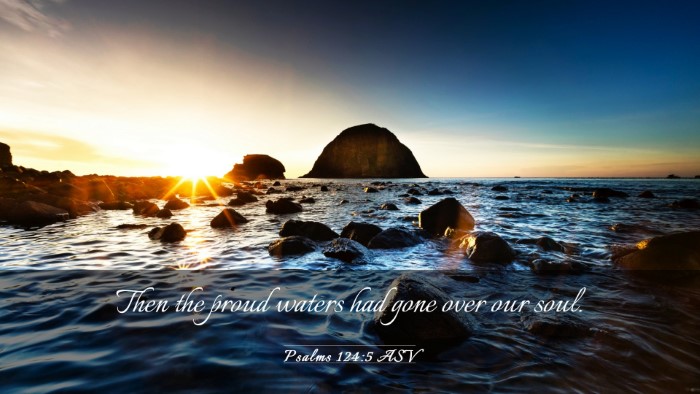 Picture 03 - Psalms 124:5 ASV Desktop Wallpaper - Then the proud waters had gone over our - Desktop Bible Verse Wallpaper