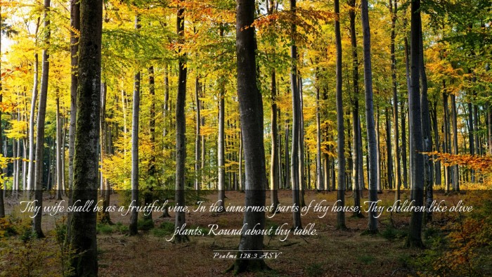 Picture 03 - Psalms 128:3 ASV Desktop Wallpaper - Thy wife shall be as a fruitful vine, In the - Desktop Bible Verse Wallpaper