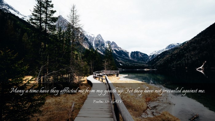 Picture 03 - Psalms 129:2 ASV Desktop Wallpaper - Many a time have they afflicted me from my youth - Desktop Bible Verse Wallpaper