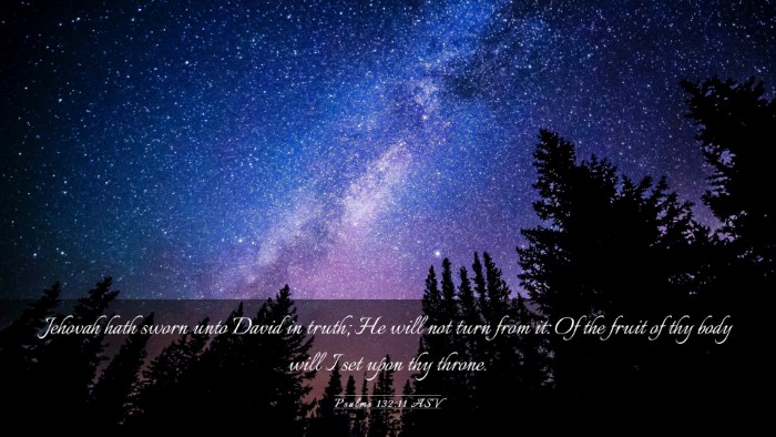 Picture 03 - Psalms 132:11 ASV Desktop Wallpaper - Jehovah hath sworn unto David in truth; He will - Desktop Bible Verse Wallpaper