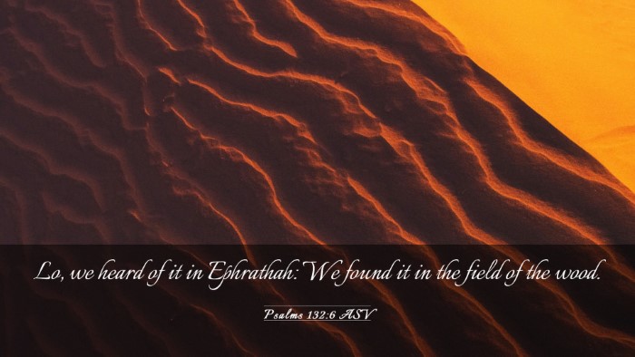 Picture 03 - Psalms 132:6 ASV Desktop Wallpaper - Lo, we heard of it in Ephrathah: We found it in - Desktop Bible Verse Wallpaper