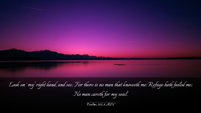 Picture 03 - Psalms 142:4 ASV Desktop Wallpaper - Look on `my' right hand, and see; For there is no - Desktop Bible Verse Wallpaper
