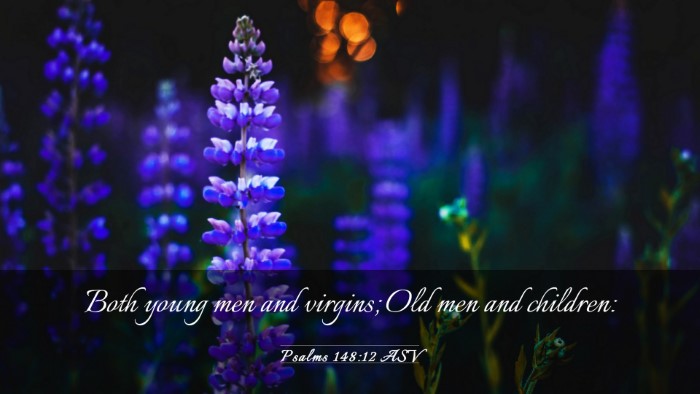 Picture 03 - Psalms 148:12 ASV Desktop Wallpaper - Both young men and virgins; Old men and - Desktop Bible Verse Wallpaper