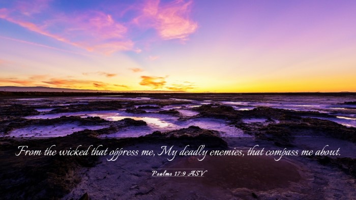 Picture 03 - Psalms 17:9 ASV Desktop Wallpaper - From the wicked that oppress me, My deadly - Desktop Bible Verse Wallpaper