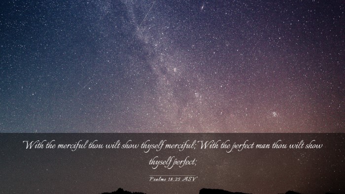 Picture 03 - Psalms 18:25 ASV Desktop Wallpaper - With the merciful thou wilt show thyself - Desktop Bible Verse Wallpaper