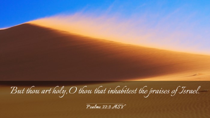 Picture 03 - Psalms 22:3 ASV Desktop Wallpaper - But thou art holy, O thou that inhabitest the - Desktop Bible Verse Wallpaper
