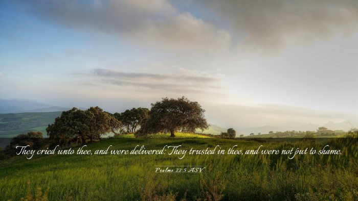 Picture 03 - Psalms 22:5 ASV Desktop Wallpaper - They cried unto thee, and were delivered: They - Desktop Bible Verse Wallpaper