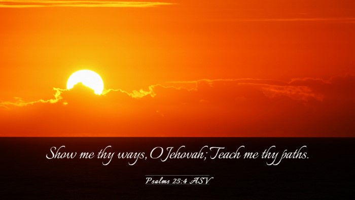 Picture 03 - Psalms 25:4 ASV Desktop Wallpaper - Show me thy ways, O Jehovah; Teach me thy - Desktop Bible Verse Wallpaper