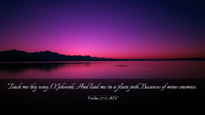 Picture 03 - Psalms 27:11 ASV Desktop Wallpaper - Teach me thy way, O Jehovah; And lead me in a - Desktop Bible Verse Wallpaper