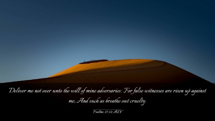 Picture 03 - Psalms 27:12 ASV Desktop Wallpaper - Deliver me not over unto the will of mine - Desktop Bible Verse Wallpaper