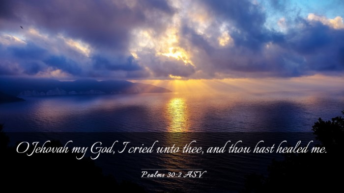 Picture 03 - Psalms 30:2 ASV Desktop Wallpaper - O Jehovah my God, I cried unto thee, and thou - Desktop Bible Verse Wallpaper
