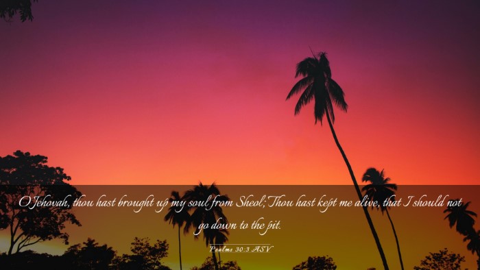 Picture 03 - Psalms 30:3 ASV Desktop Wallpaper - O Jehovah, thou hast brought up my soul from - Desktop Bible Verse Wallpaper