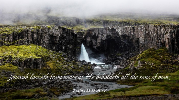 Picture 03 - Psalms 33:13 ASV Desktop Wallpaper - Jehovah looketh from heaven; He beholdeth all the - Desktop Bible Verse Wallpaper