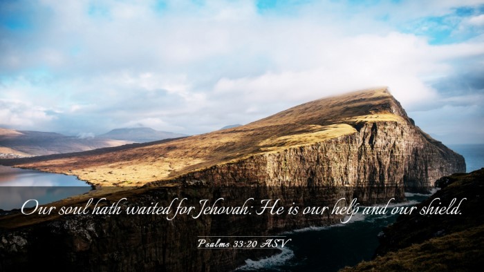 Picture 03 - Psalms 33:20 ASV Desktop Wallpaper - Our soul hath waited for Jehovah: He is our help - Desktop Bible Verse Wallpaper