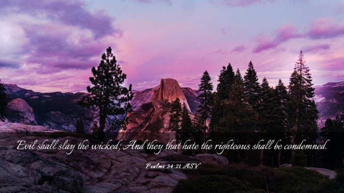 Picture 03 - Psalms 34:21 ASV Desktop Wallpaper - Evil shall slay the wicked; And they that hate - Desktop Bible Verse Wallpaper