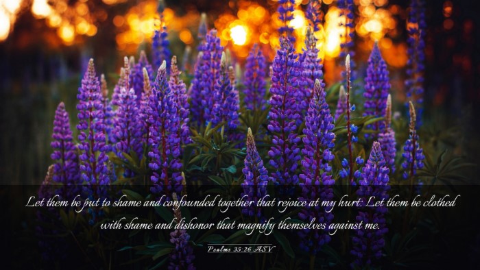 Picture 03 - Psalms 35:26 ASV Desktop Wallpaper - Let them be put to shame and confounded together - Desktop Bible Verse Wallpaper