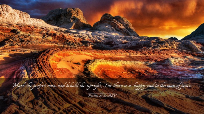 Picture 03 - Psalms 37:37 ASV Desktop Wallpaper - Mark the perfect man, and behold the upright; For - Desktop Bible Verse Wallpaper