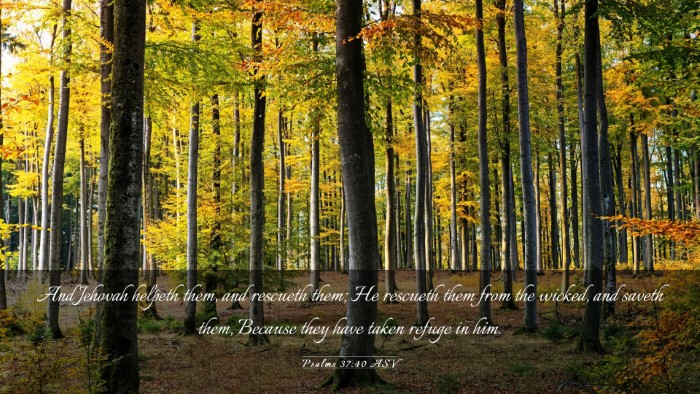 Picture 03 - Psalms 37:40 ASV Desktop Wallpaper - And Jehovah helpeth them, and rescueth them; He - Desktop Bible Verse Wallpaper