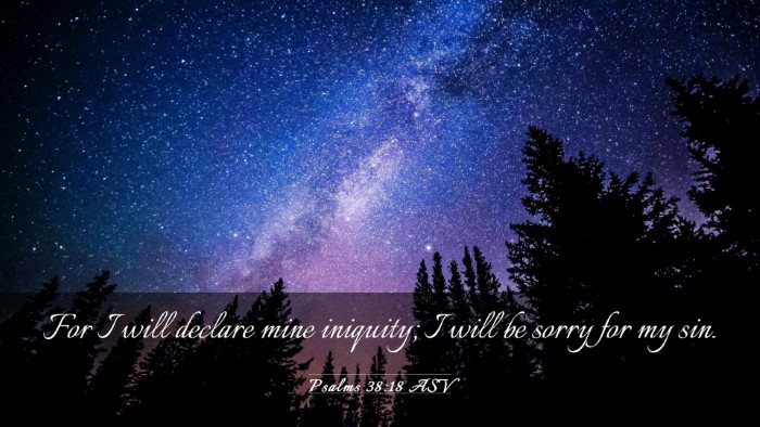Picture 03 - Psalms 38:18 ASV Desktop Wallpaper - For I will declare mine iniquity; I will be sorry - Desktop Bible Verse Wallpaper